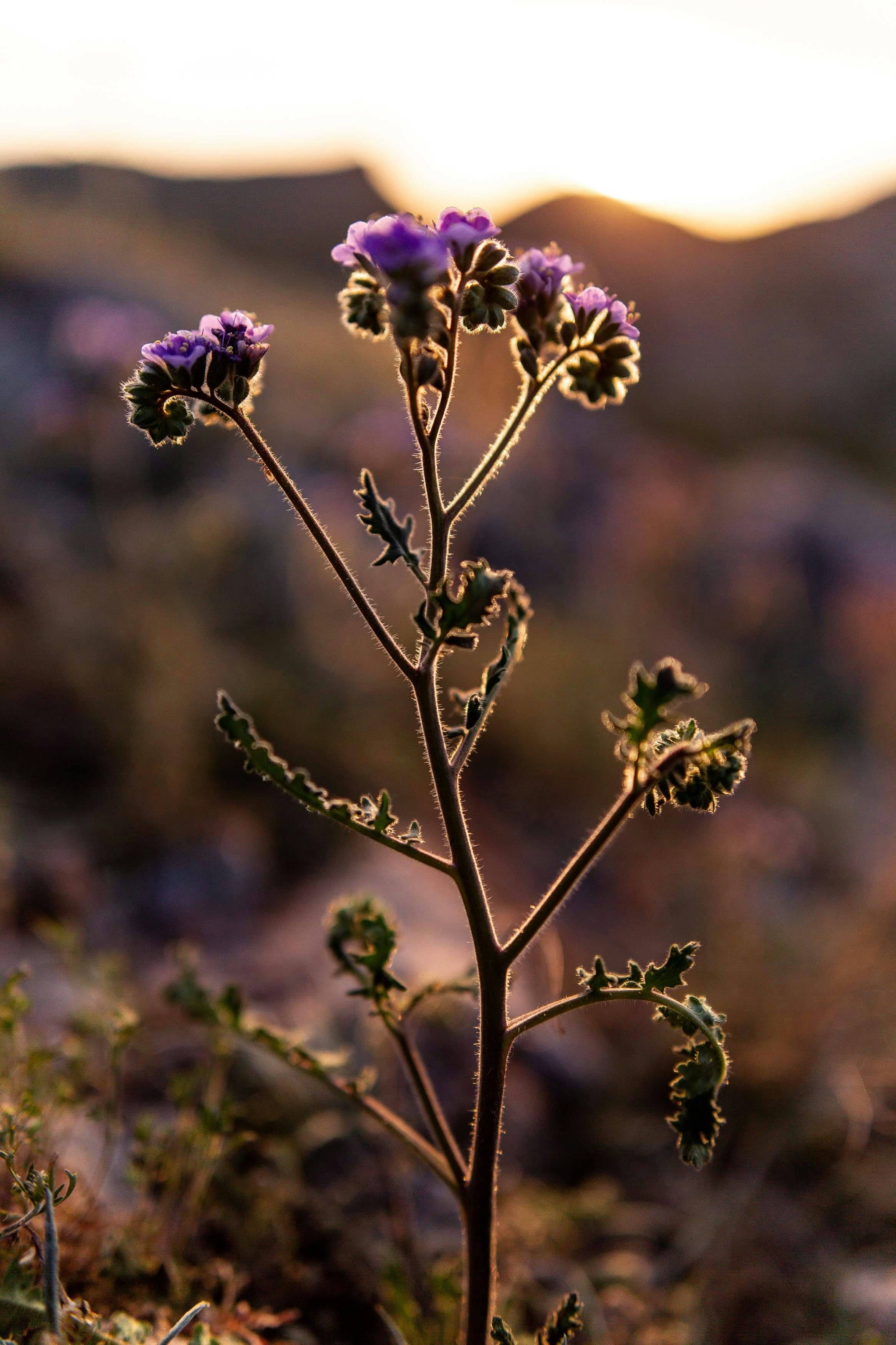 Photo by susanbright