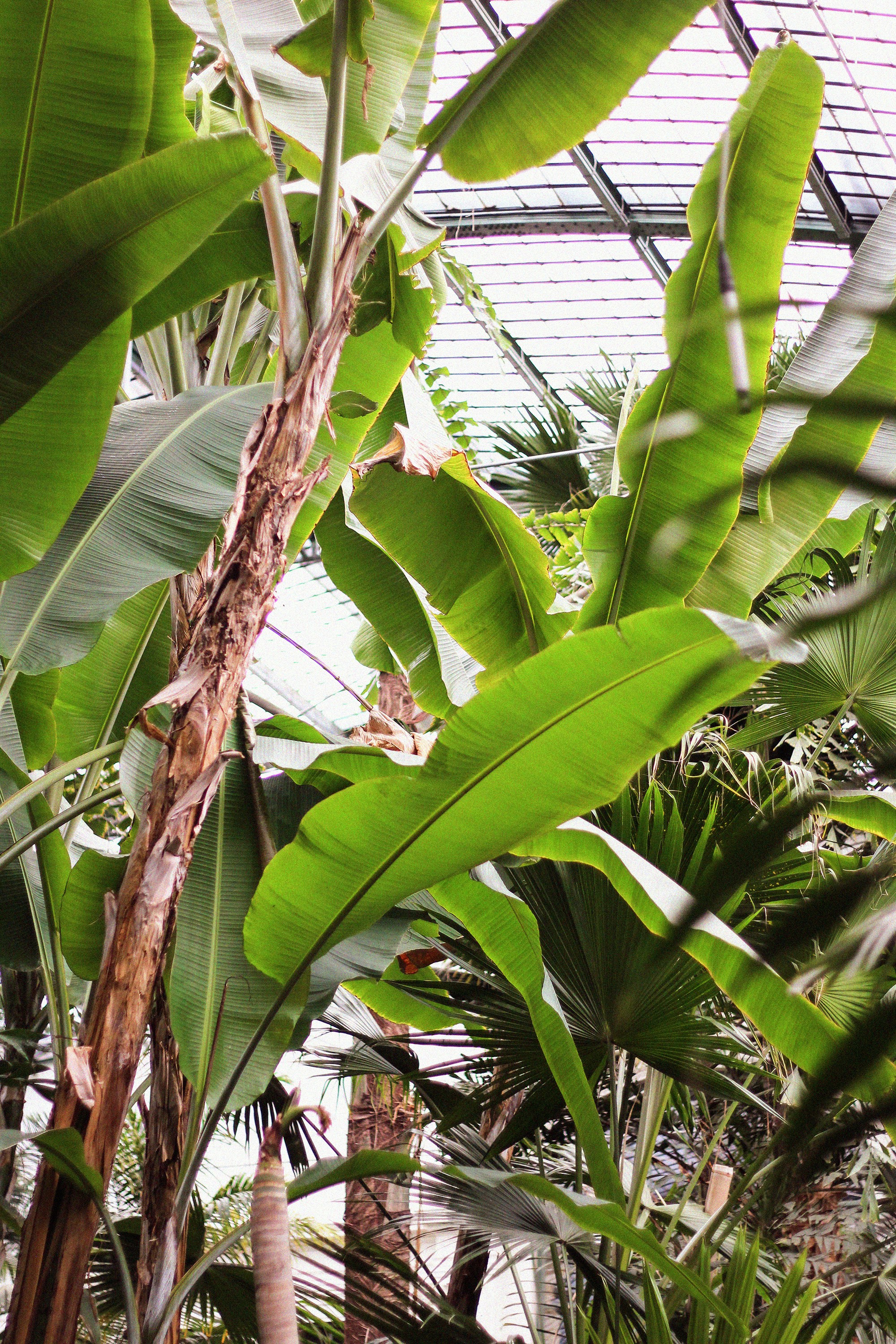 Photo by beautifulxmess