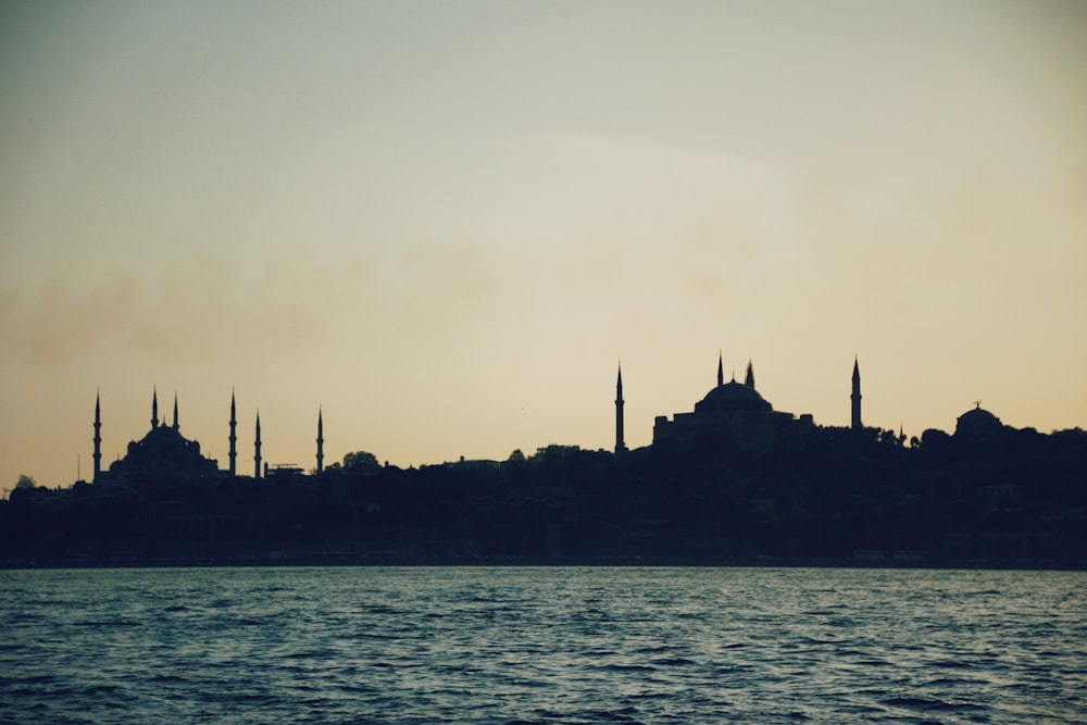 cathedral and body of water