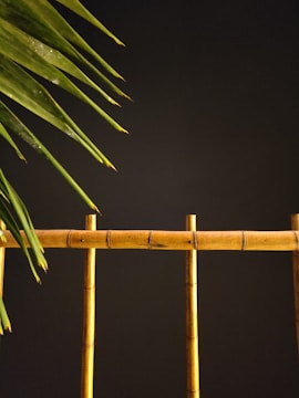 A bamboo fence or railing is set against a dark background, with green palm leaves protruding from the left side.