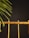 A bamboo fence or railing is set against a dark background, with green palm leaves protruding from the left side.