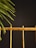 A bamboo fence or railing is set against a dark background, with green palm leaves protruding from the left side.