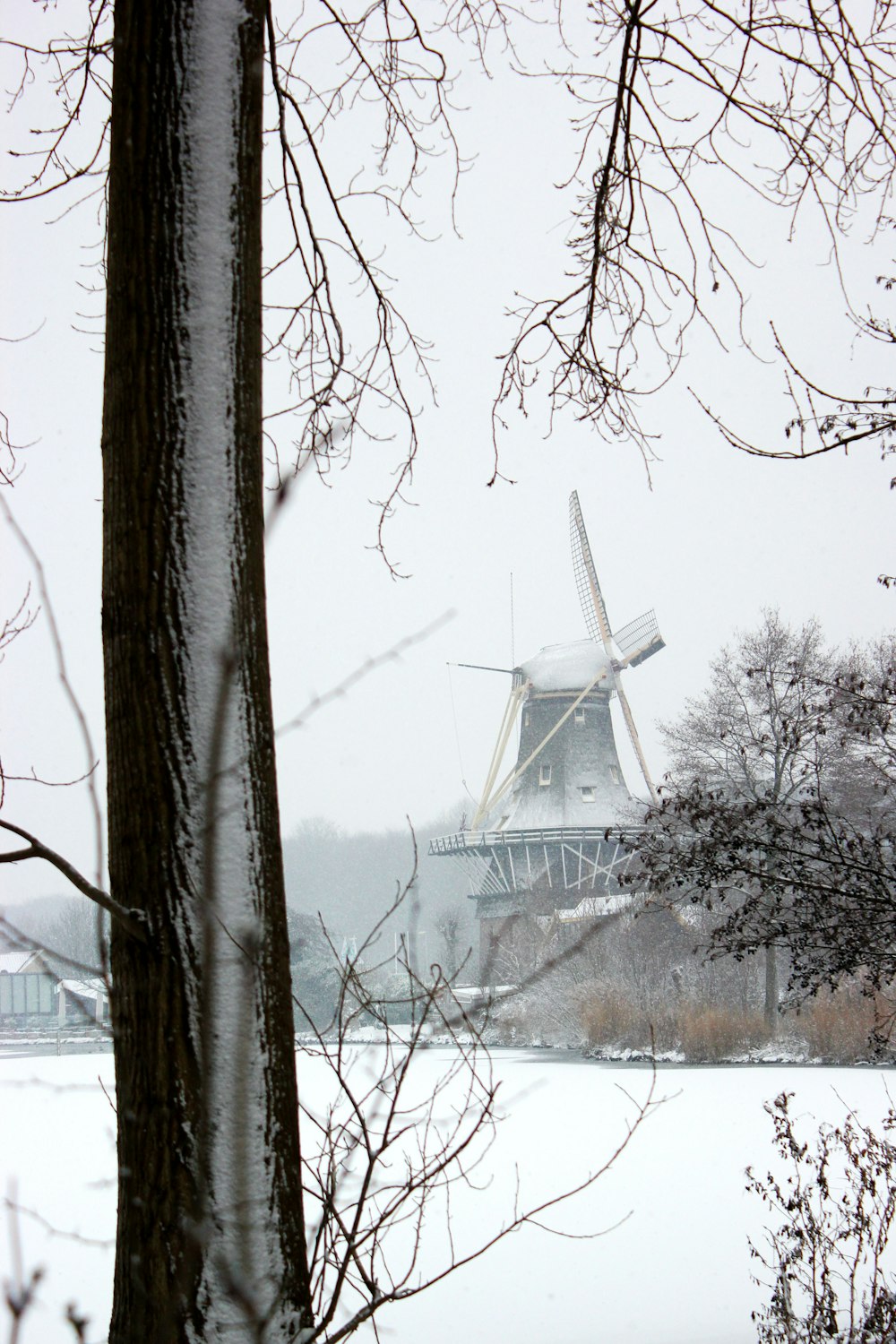 windmill and tree