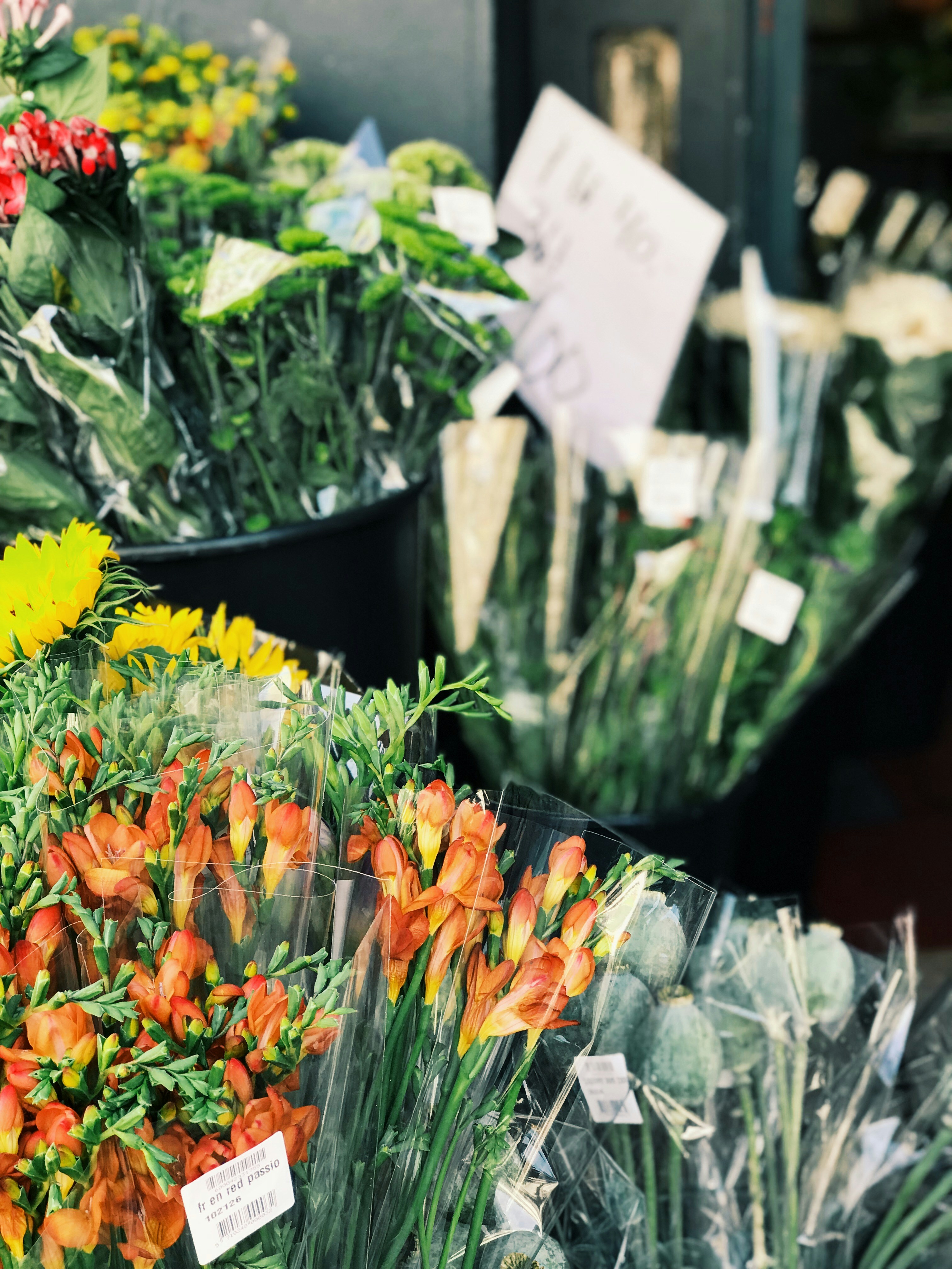 Photo by alexandrugh