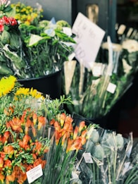 A vibrant display of assorted flowers packaged in clear plastic wraps, arranged in buckets. The foreground includes bright orange and yellow flowers, while the background shows various green foliage and a hint of a white sign with text.