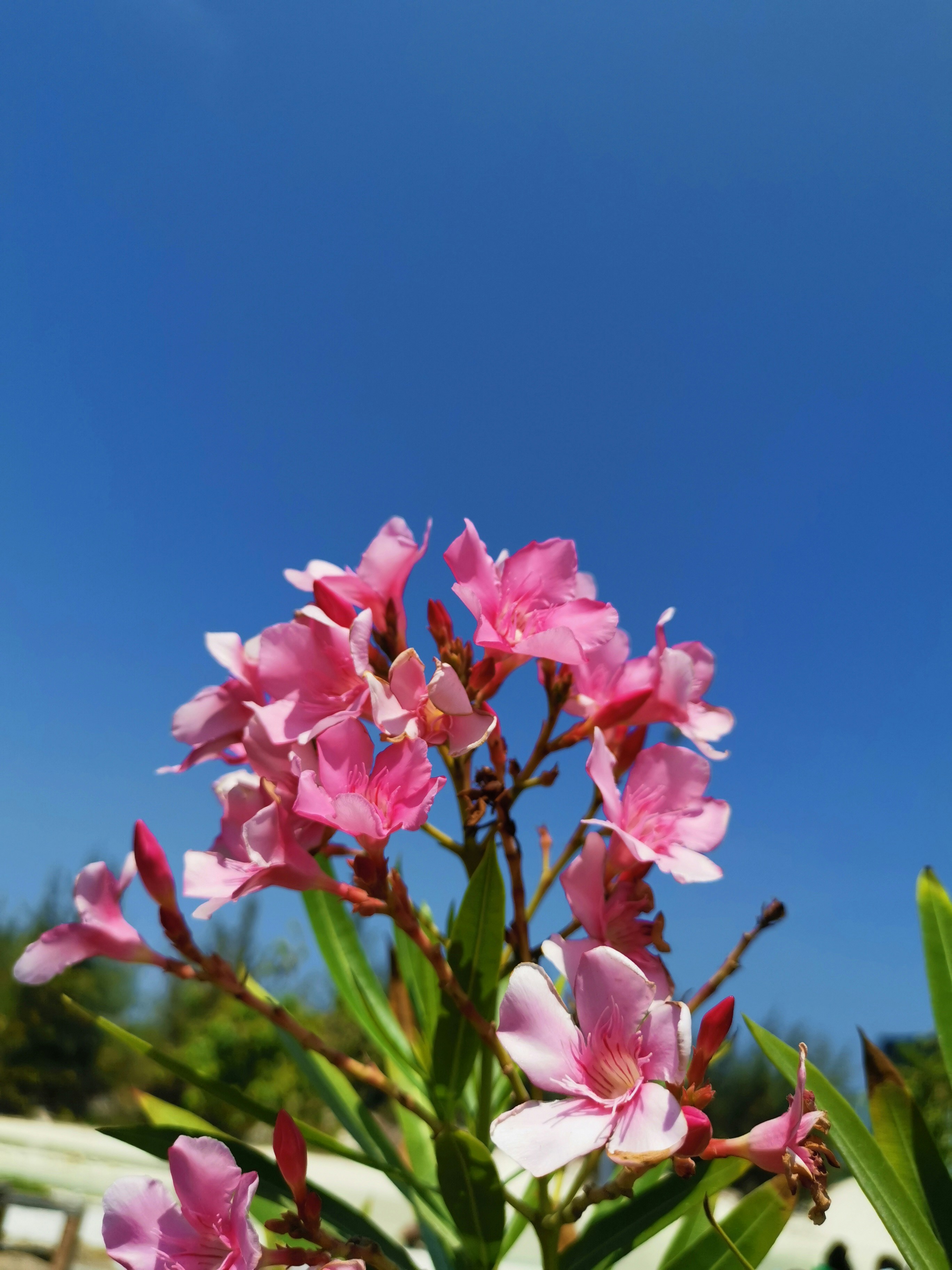 Photo by jumanjiphotos