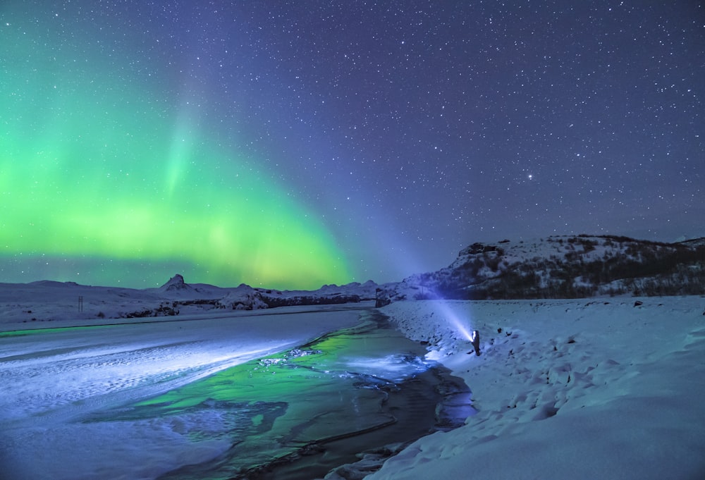 person standing under aurora lights