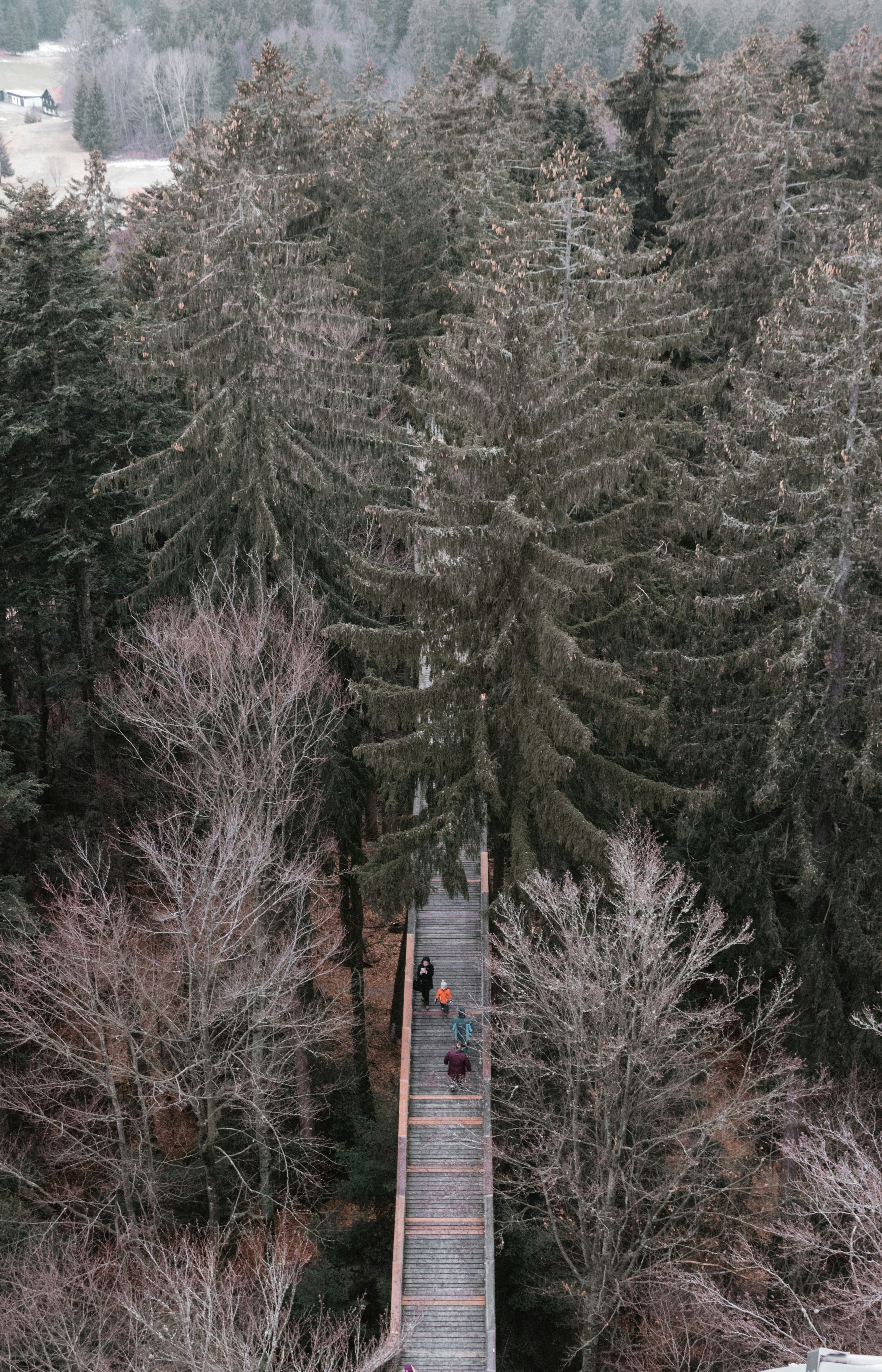 Photo by picsofnas