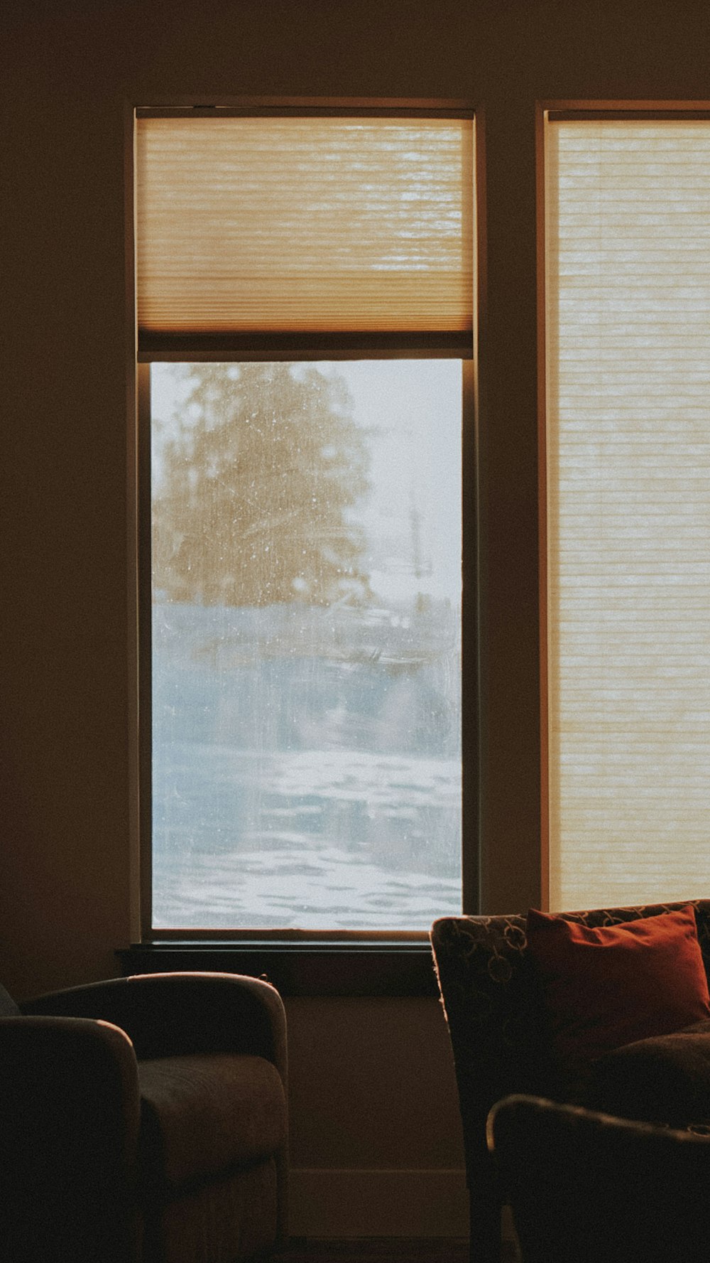 white window blinds