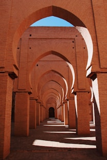 photography of brown concrete building