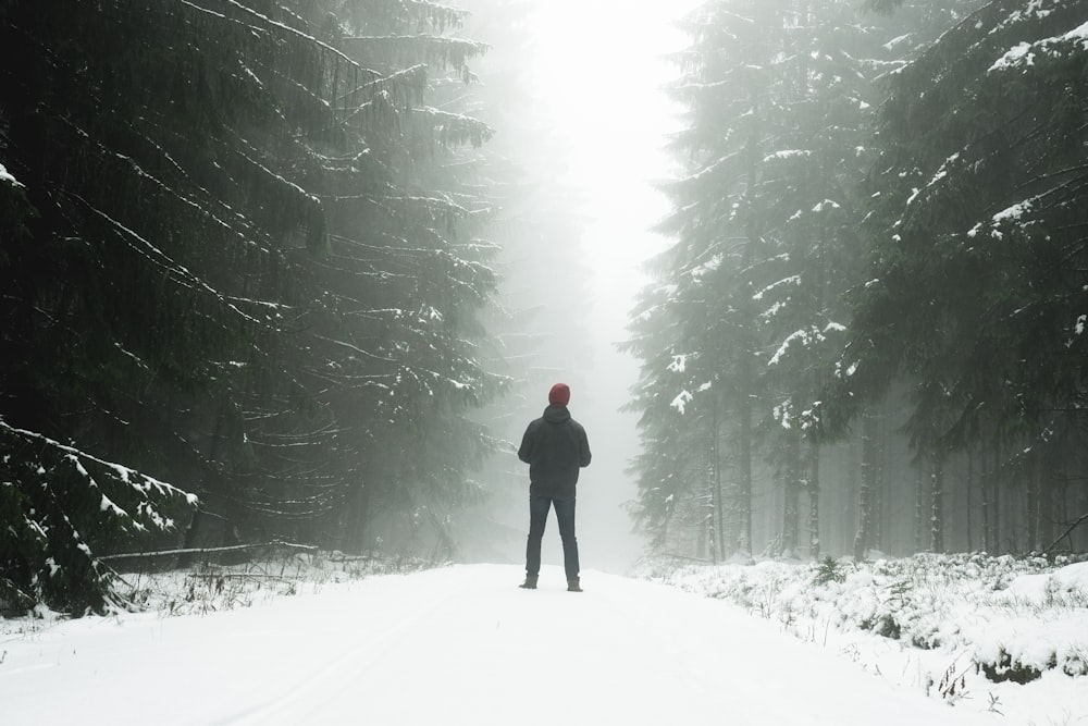 hombre de pie en medio de la pasarela junto a los pinos cubiertos de nieve
