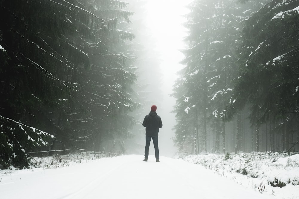 man standing at middle of walkway beside pine trees covered with snow