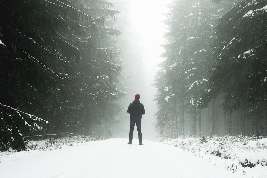 man standing at middle of walkway beside pine trees covered with snow