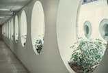 Clean hospital corridor bathed in natural light with green plants