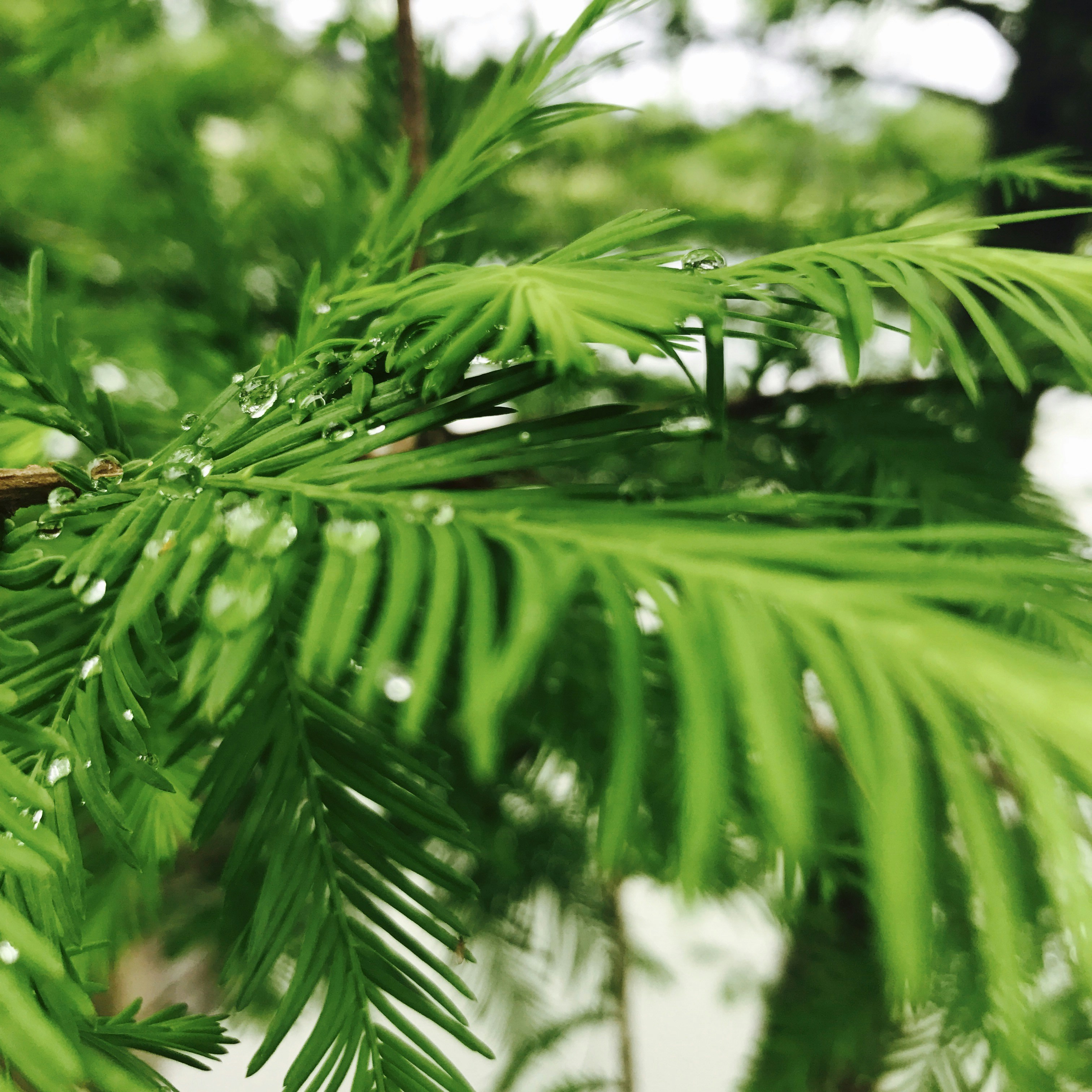 Photo by lauren_gabrielle_