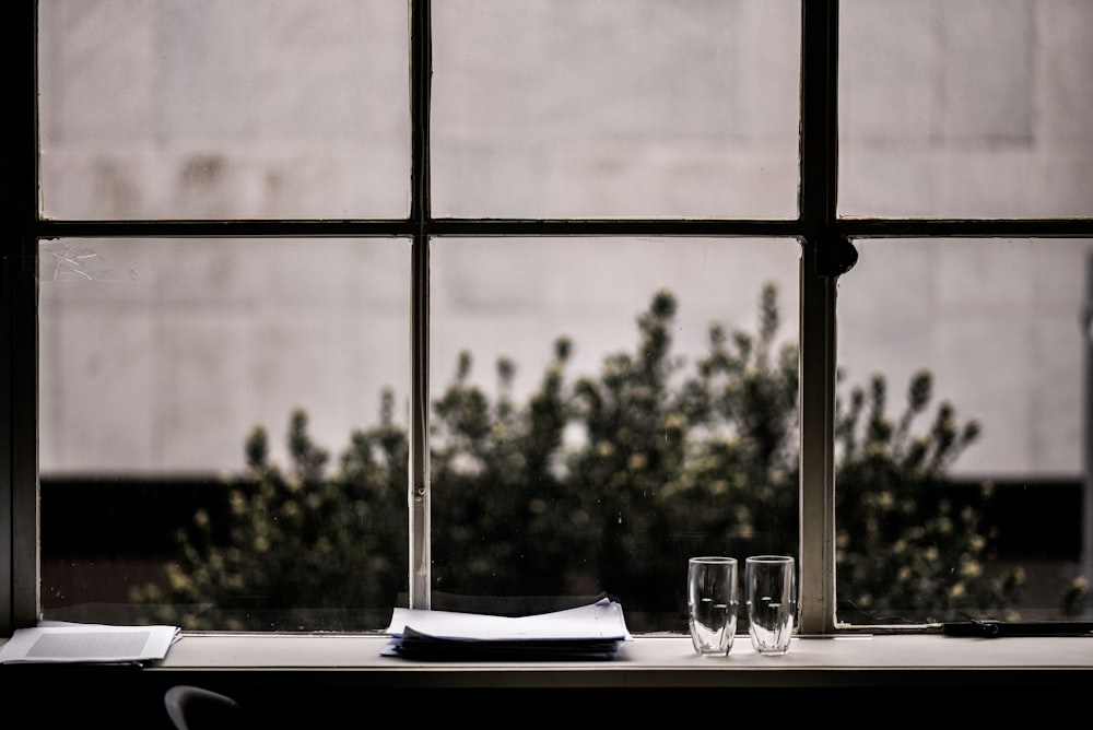 grayscale photography of two clear drinking glasses and plates near window