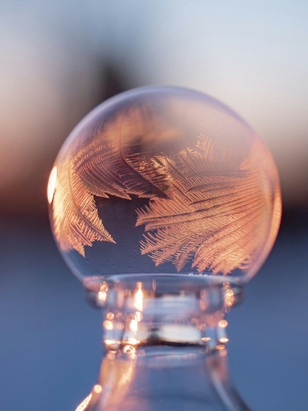 closeup photography of bubble with ice particles