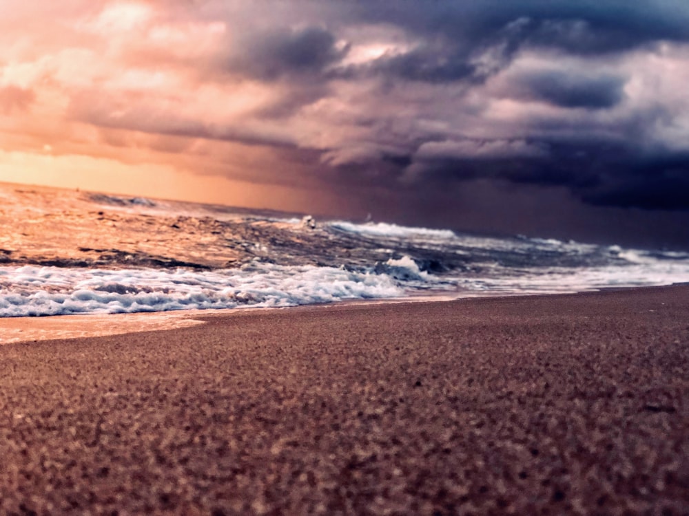 selective focus photography of seashore during daytime