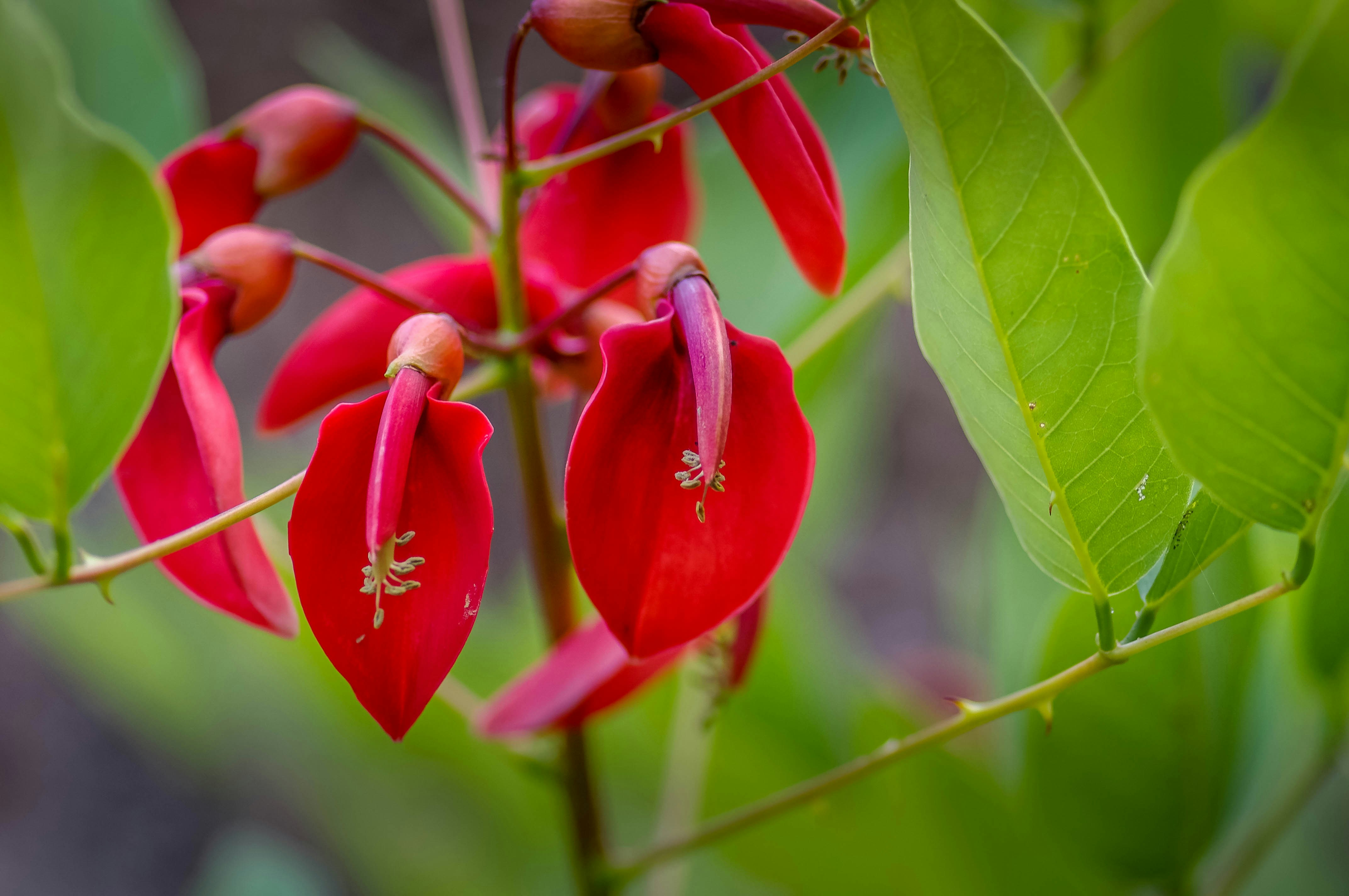 Photo by rdubs_photos18