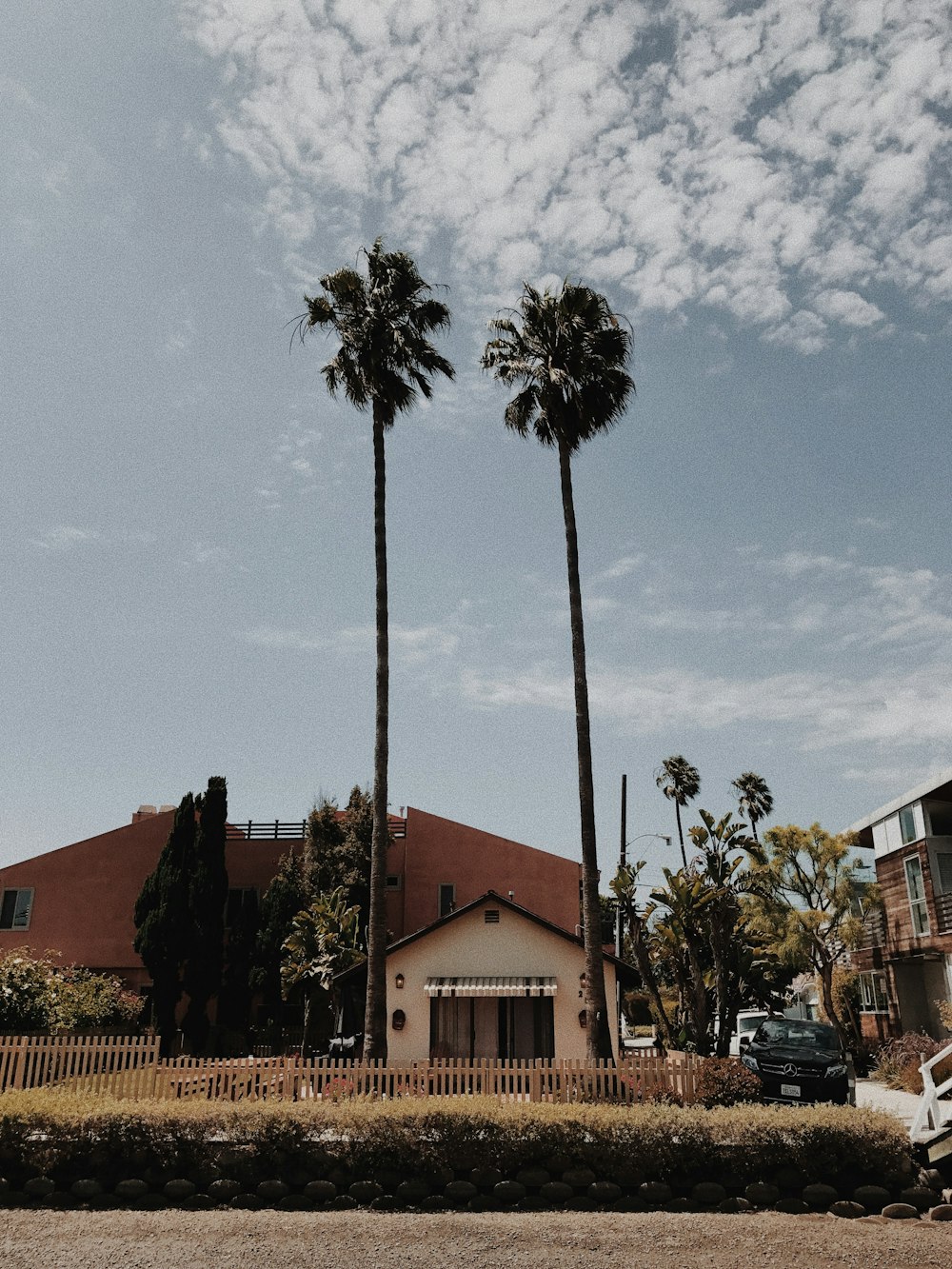 black vehicle parked beside house near green palm trees during daytime