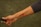 An arm is extended with a tattoo that features a heartbeat line, a red heart symbol, and the word 'Mom'. The person is holding a black object in their hand, possibly a stick or a handle. The background is grassy and slightly out of focus.