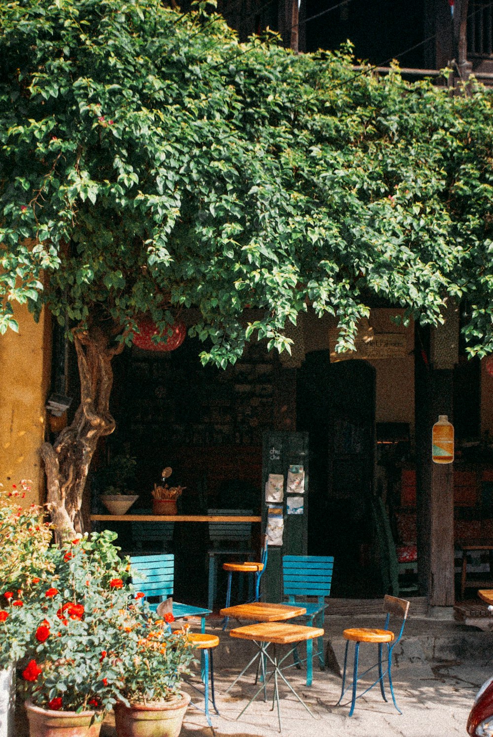 empty blue wooden chairs in front of store during daytime