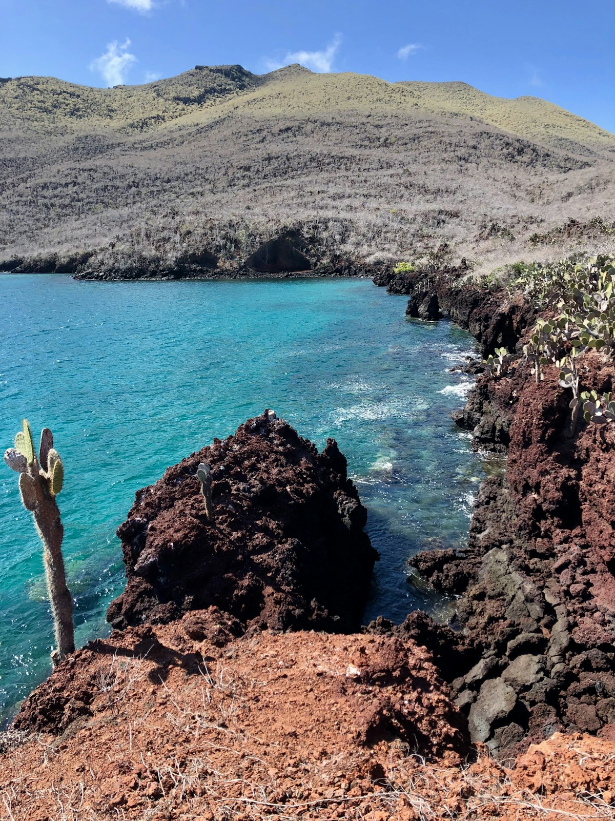 Galápagos December — dramatic volcanic lava coastline at the island shore