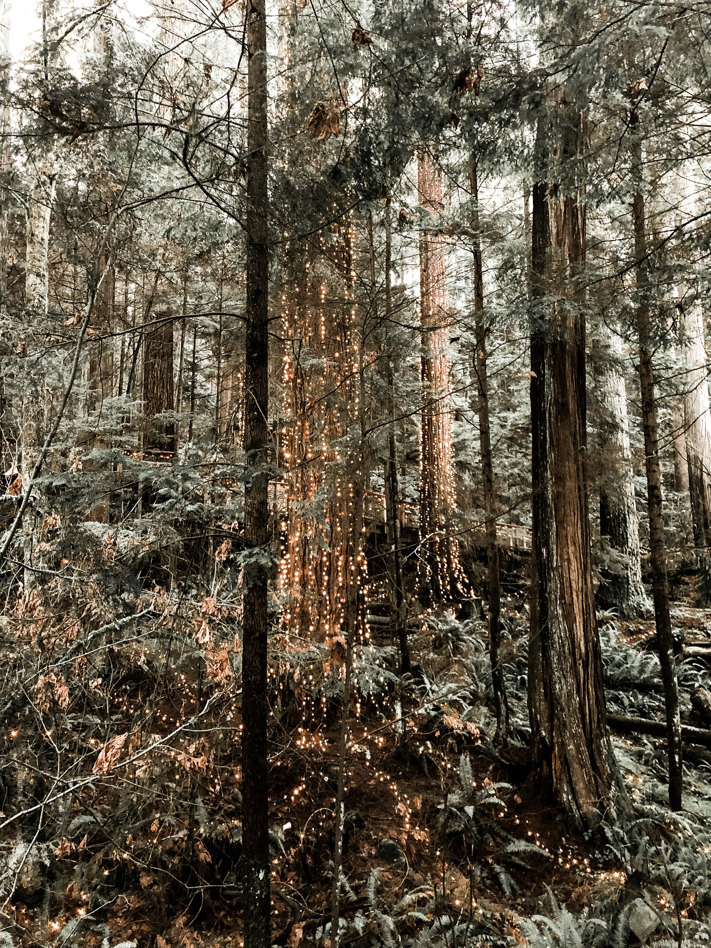 Photo by laurynkelman