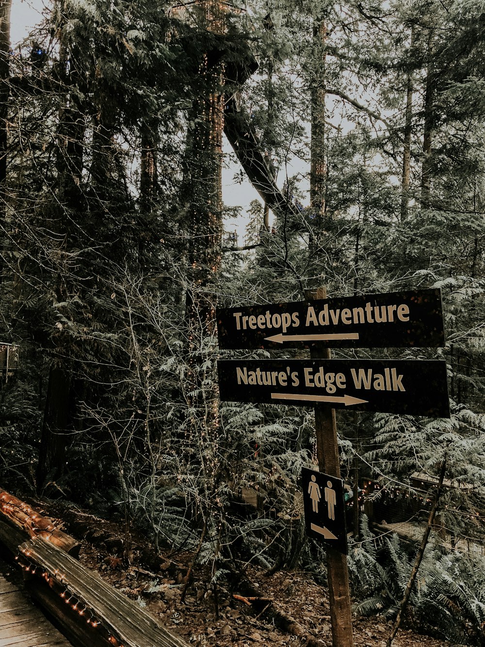 Treetops adventure signage