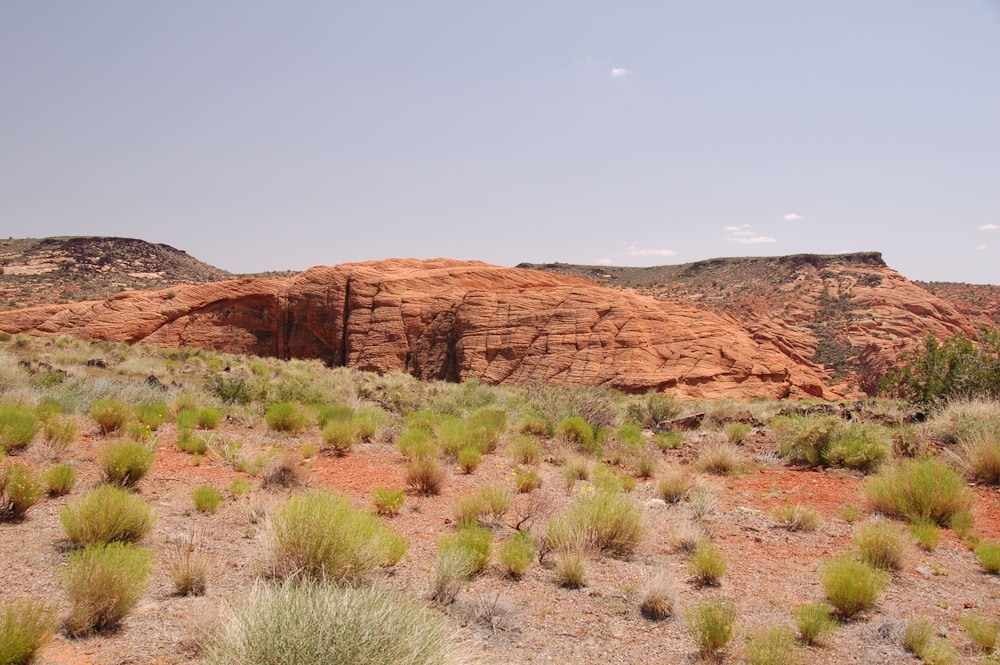 brown mountain under clear sky