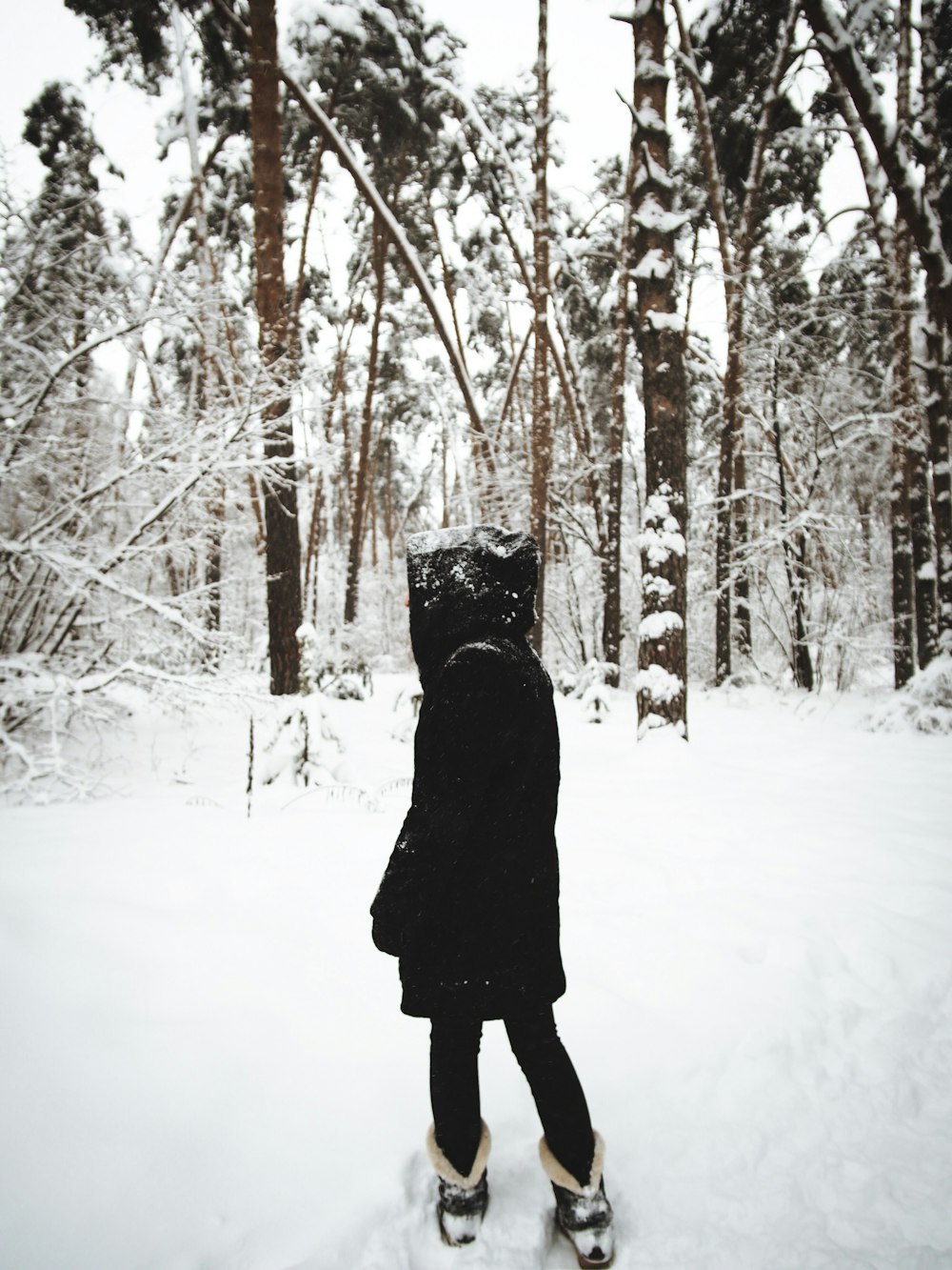 pessoa vestindo casaco preto em pé perto de árvores