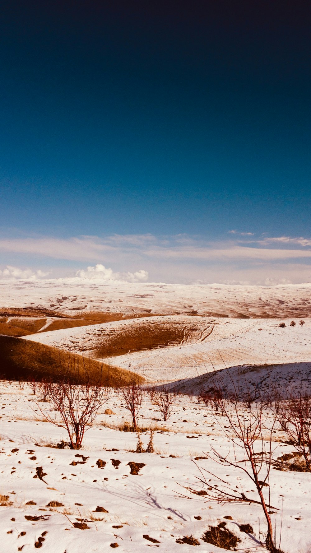 mountain covered by snow during daytime