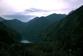 A serene landscape featuring a calm lake surrounded by lush greenery and mountains under a soft, cloudy sky.