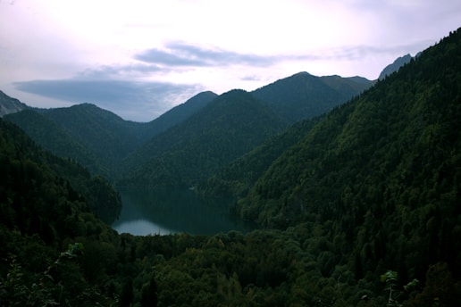 A serene landscape featuring a calm lake surrounded by lush greenery and mountains under a soft, cloudy sky.