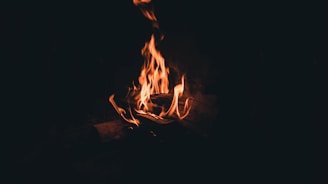 bonfire