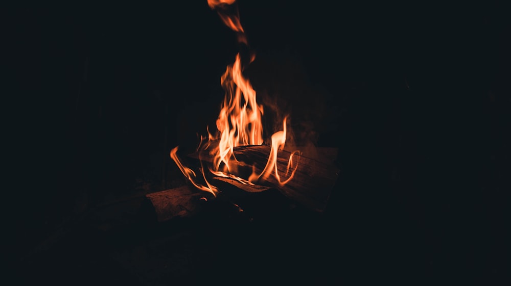 bonfire