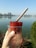 A close-up of a hand holding a plastic cup filled with a frozen dessert, which is dark red in color and has a wooden stick inserted into it. The background features a calm body of water, a clear blue sky, and some distant trees and buildings.