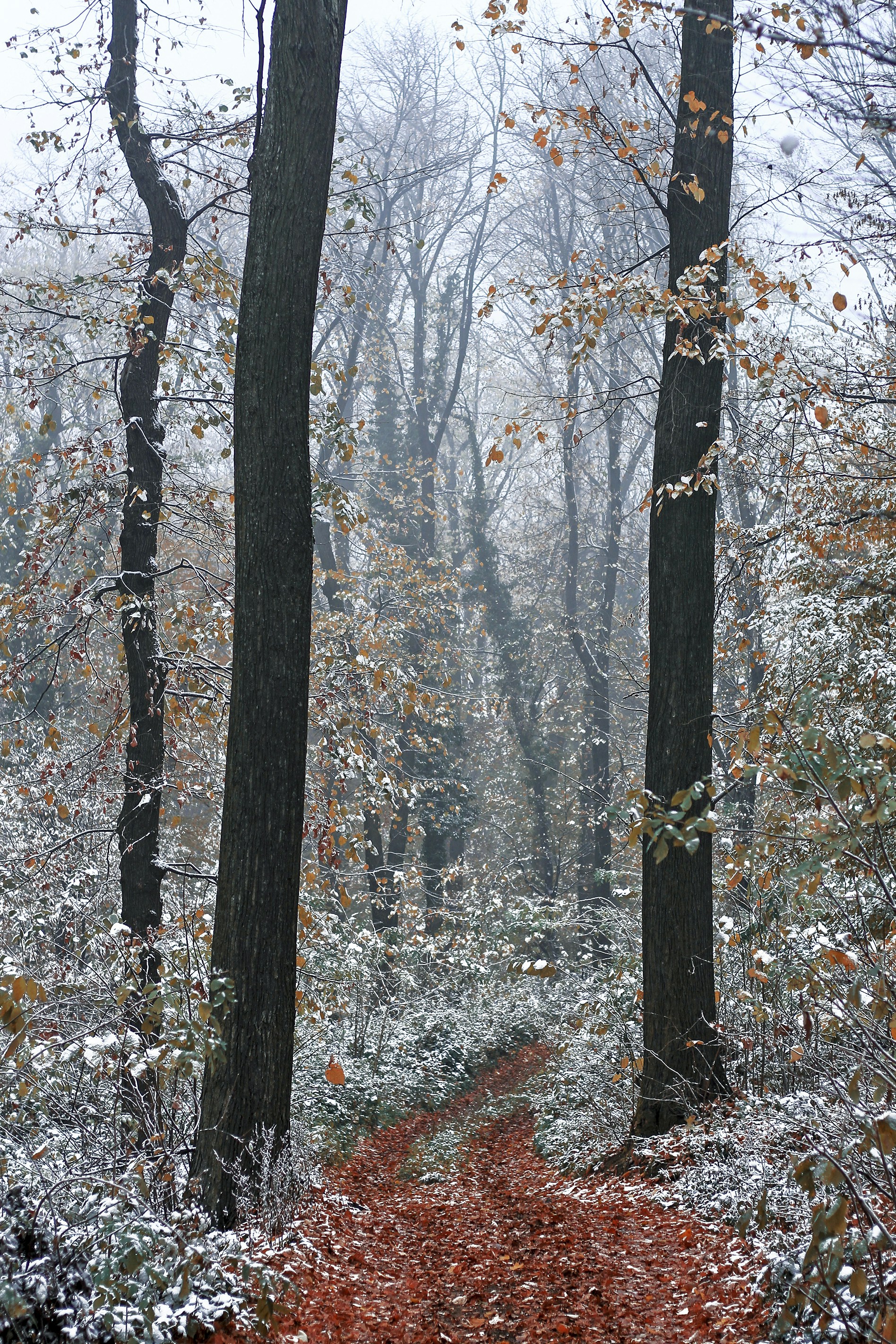 Photo by valentinsalja