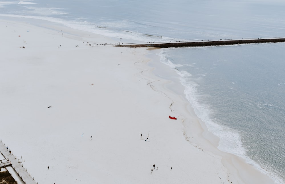 aerial photography of seashore