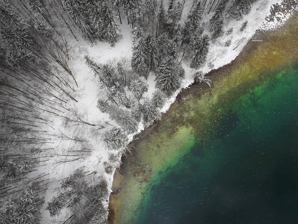 Luftaufnahme eines Gewässers in der Nähe von schneebedeckten Bäumen