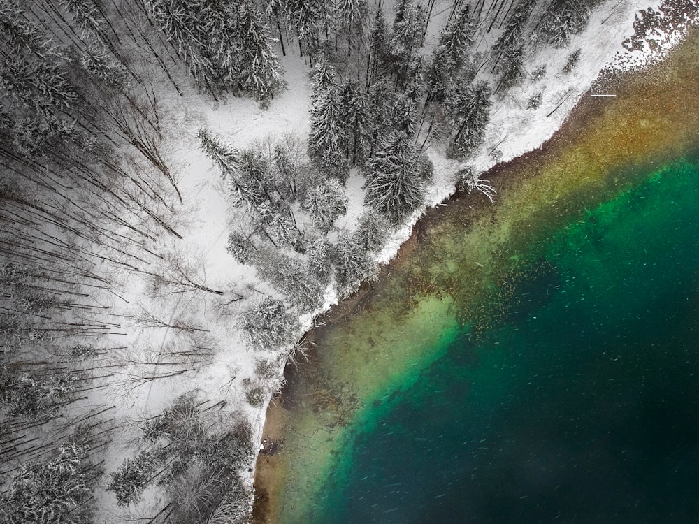 aerial photography of body of water near snow covered trees