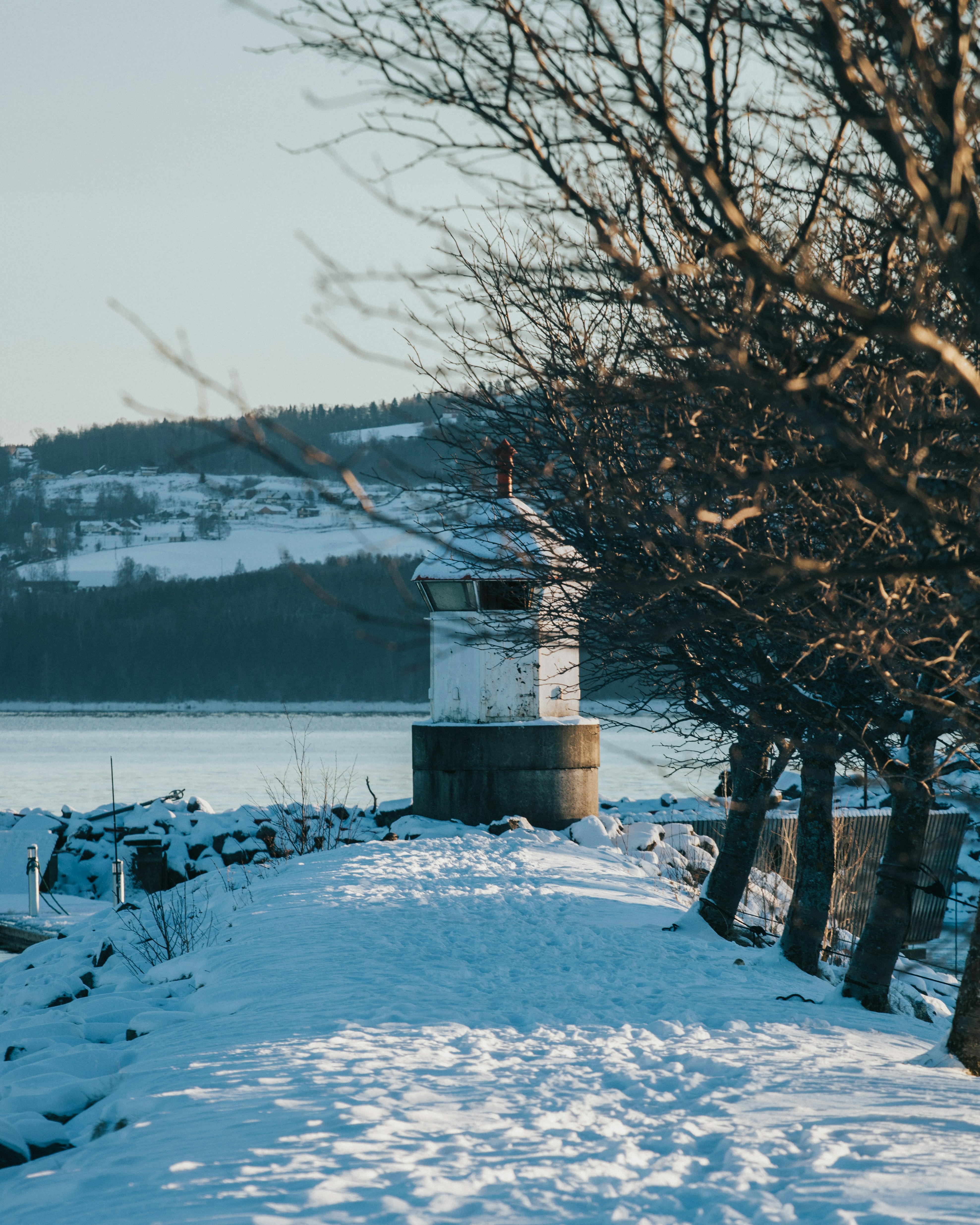 建物の近くの枯れた木の写真 Unsplashで見つけるイェービクの無料写真