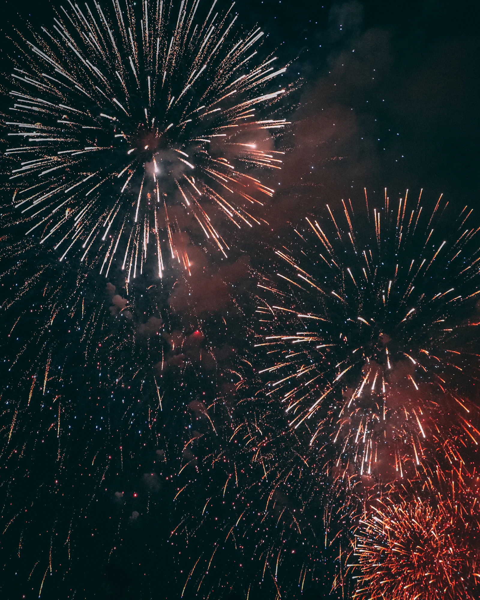 fireworks bursting across a night sky