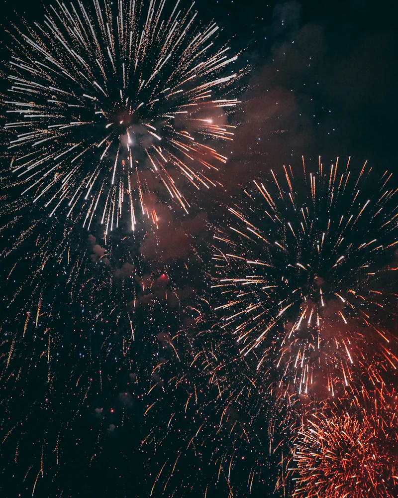 Fireworks bursting across a night sky
