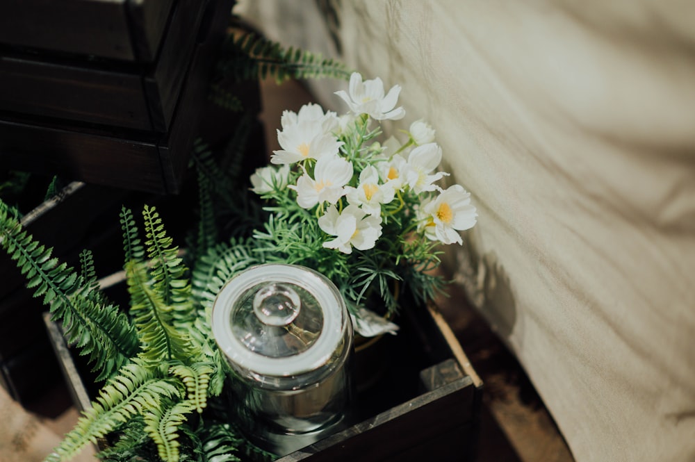 white petaled flower with green ferns