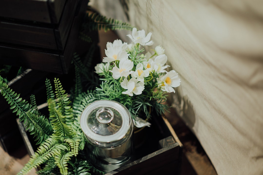 white petaled flower with green ferns