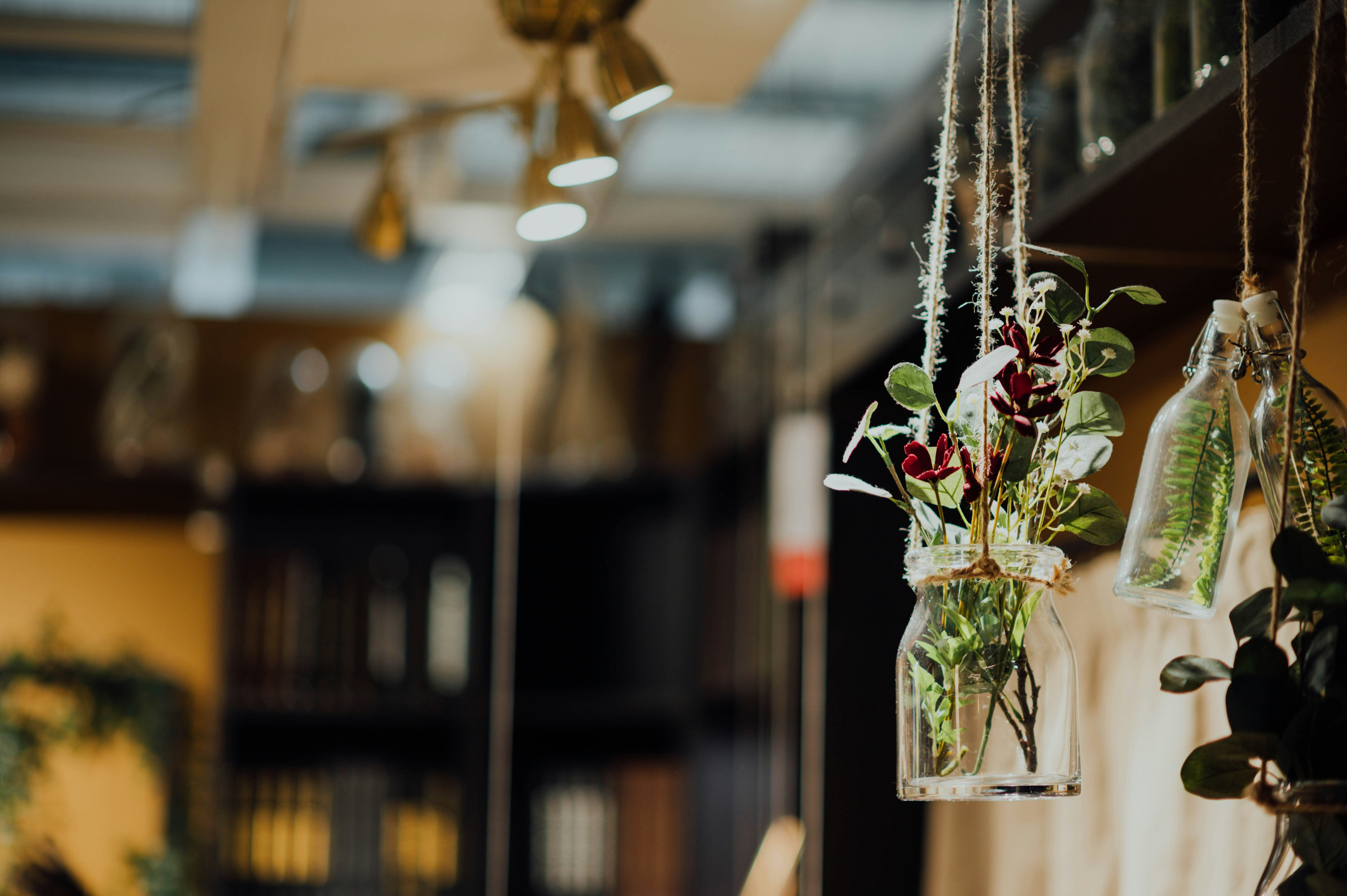 Photo by chuttersnap