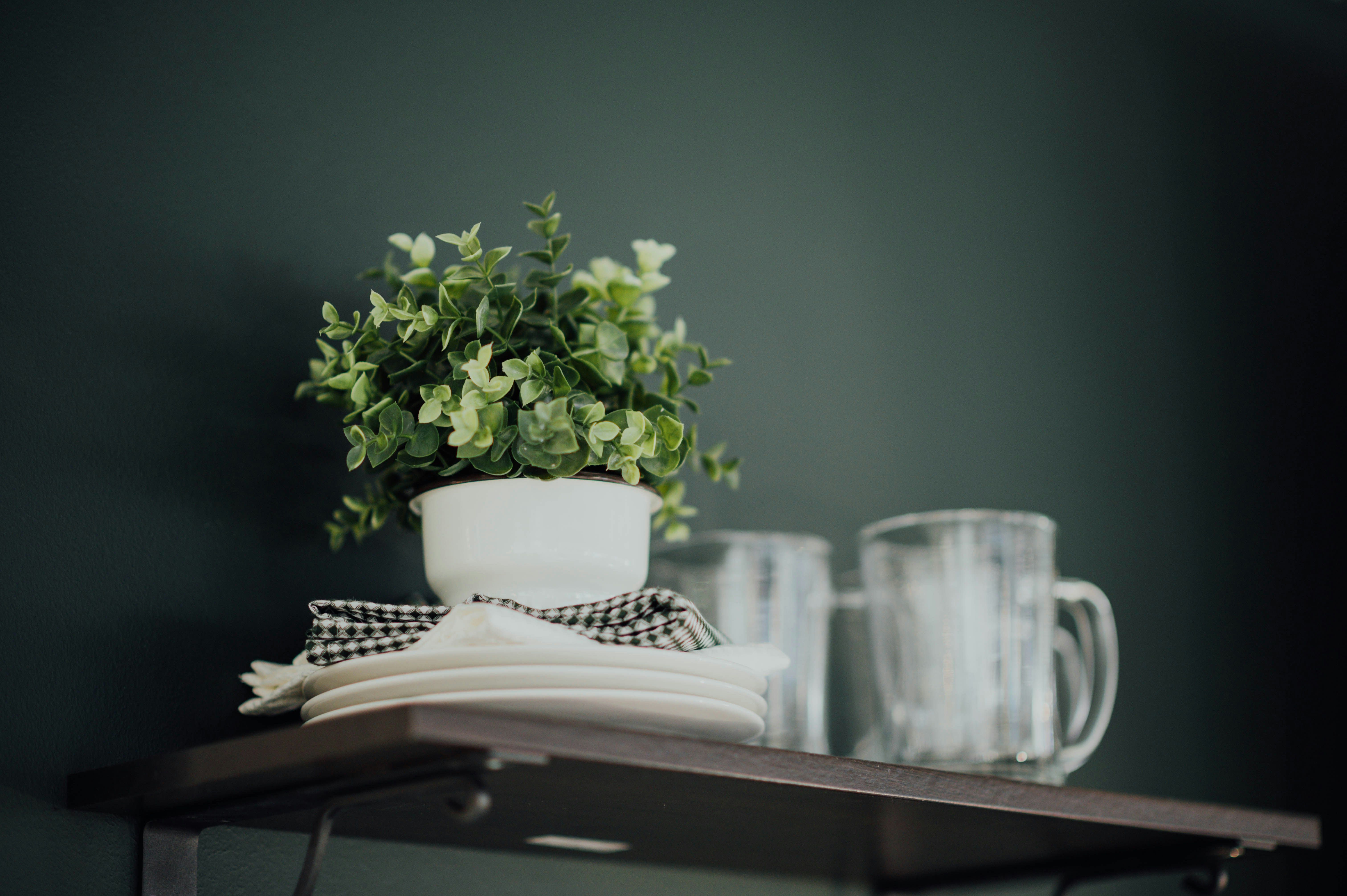 Photo by chuttersnap