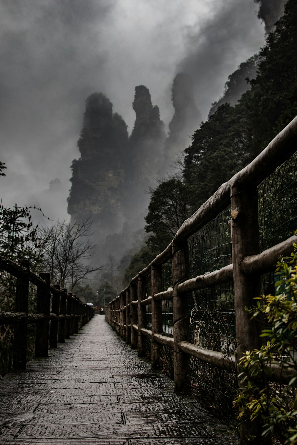 grey cloudy sky over wooden walk bridge