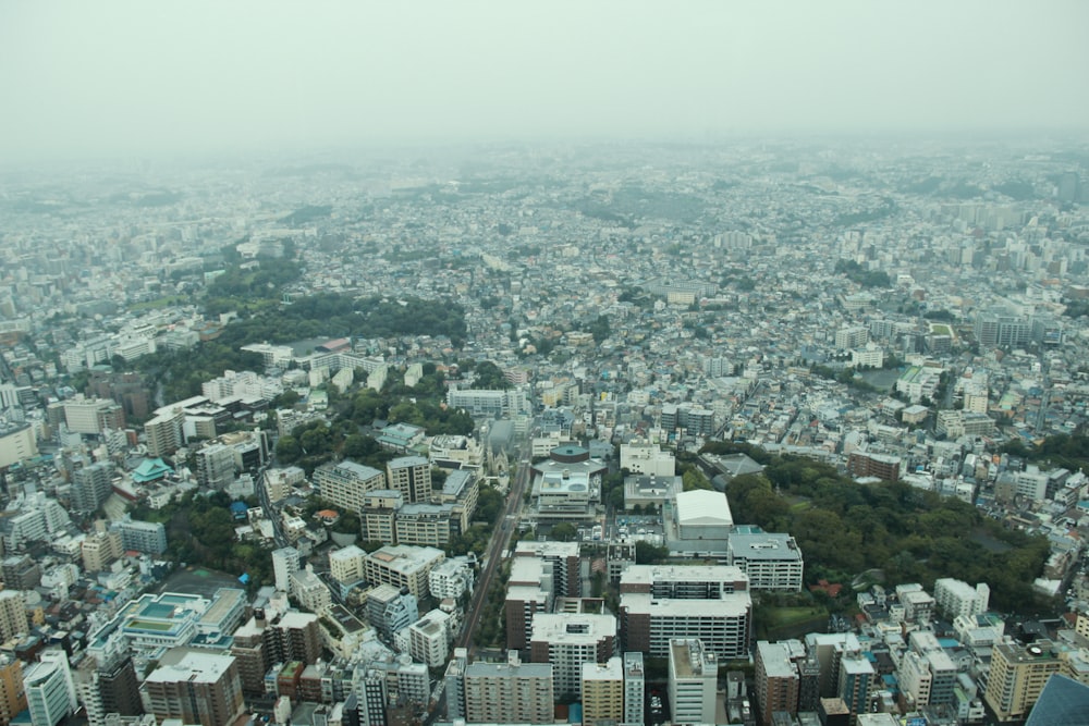 aerial photo of city